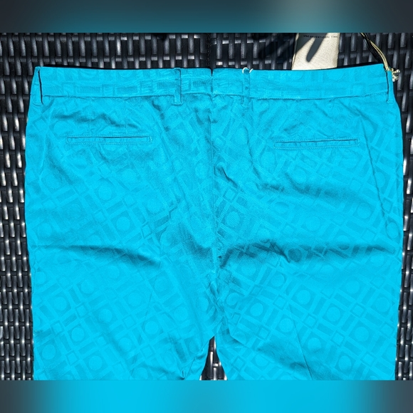 NWT Teal Ankle Cropped Pants, Sophie Style, PTOW Woman Pant, Size EU 48 - Picture 4 of 10